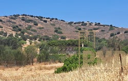 Koropi, Attica (region) 190 01