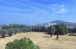 Naousa, South Aegean 84401