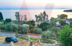Milies, Thessaly 37010