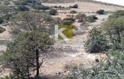 Mesaria, South Aegean 84300
