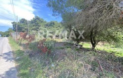 Kanapitsa, Thessaly 37002