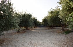 Crete 74133