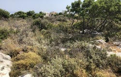 Crete, Crete Island 741 50