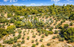 Vourvourou, Central Macedonia 63078