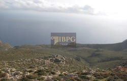 Goudouras, Crete 72059