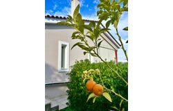 Mourteri, Central Greece 34009