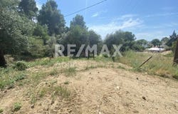 Kanapitsa, Thessaly 37002
