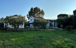 Artemisio, Zante 29092