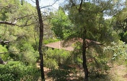 Sithonia, Chalkidiki 63078