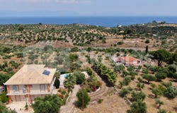 Vasilitsi, Peloponnese 24004