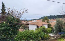 Kassandra, Chalkidiki 63077