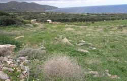 Agios Nikolaos, Lasithi 72053