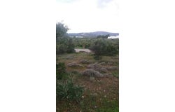 Agkathia, Macedonia 590 31