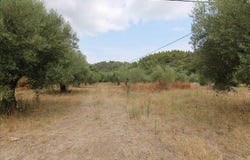 Sithonia, Chalkidiki 1