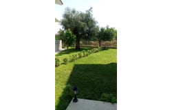 Zachloritika, Western Greece 25003