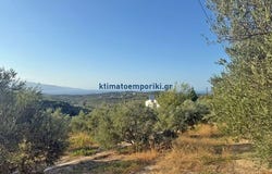 Platania, Thessalía