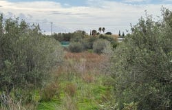 Lagada, Crete