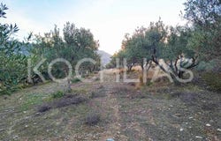 Agia Pelagia, Crete 71500