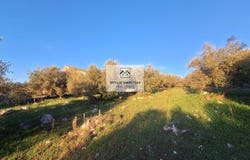 Karniaris, Ionian Islands 49100