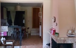 Sithonia, Chalkidiki 63078