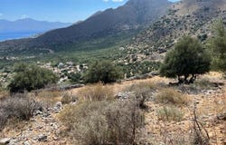 Epano Pines, Crete 72100
