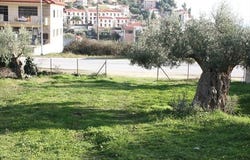 Kassandra, Chalkidiki 63077