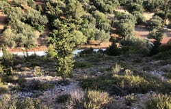 Argostoli, Ionian Islands 28100