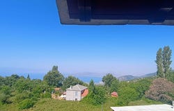 Milies, Thessaly 37010