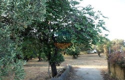 Lakithra, Iónioi Nísoi 281 00
