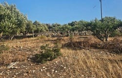 Agios Nikolaos, Lasithi 72053