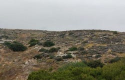Sitia, Kríti 723 00