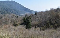 Thásos, Macedonia
