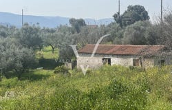 Agia Sotira, Peloponnese 24005