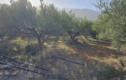 Agios Nikolaos, Lasithi 72400