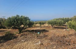 Agios Nikolaos, Lasithi 72053