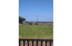 Terpsithea, Peloponnese 24500