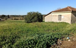 Gargaliani, Peloponnese 24400