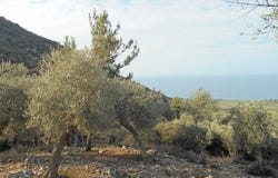 Thásos, Macedonia