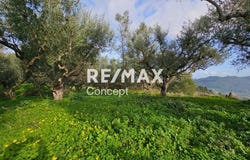 Mezo Gerakari, Ionian Islands 29100
