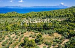 Vourvourou, Central Macedonia 63078