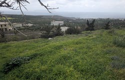 Gouves, Crete Island 700 14
