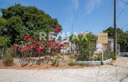 Kalivia, Sporades