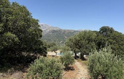 Agios Nikolaos, Lasithi 72100