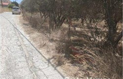 Nea Alikarnassos, Crete 71601