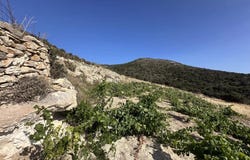 Agkeria, South Aegean 84400