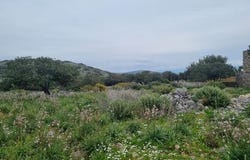 Agios Nikolaos, Lasithi 72053