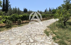 Ancient Nemea, Peloponnese 20500