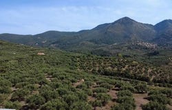 Vryses, Peloponnese 24500