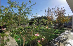 Maleme, Crete 73014