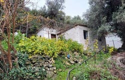 Kassandra, Chalkidiki 63077